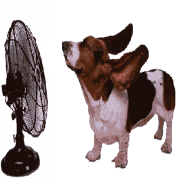 Blokzijl Koeltechniek Airco Service logo